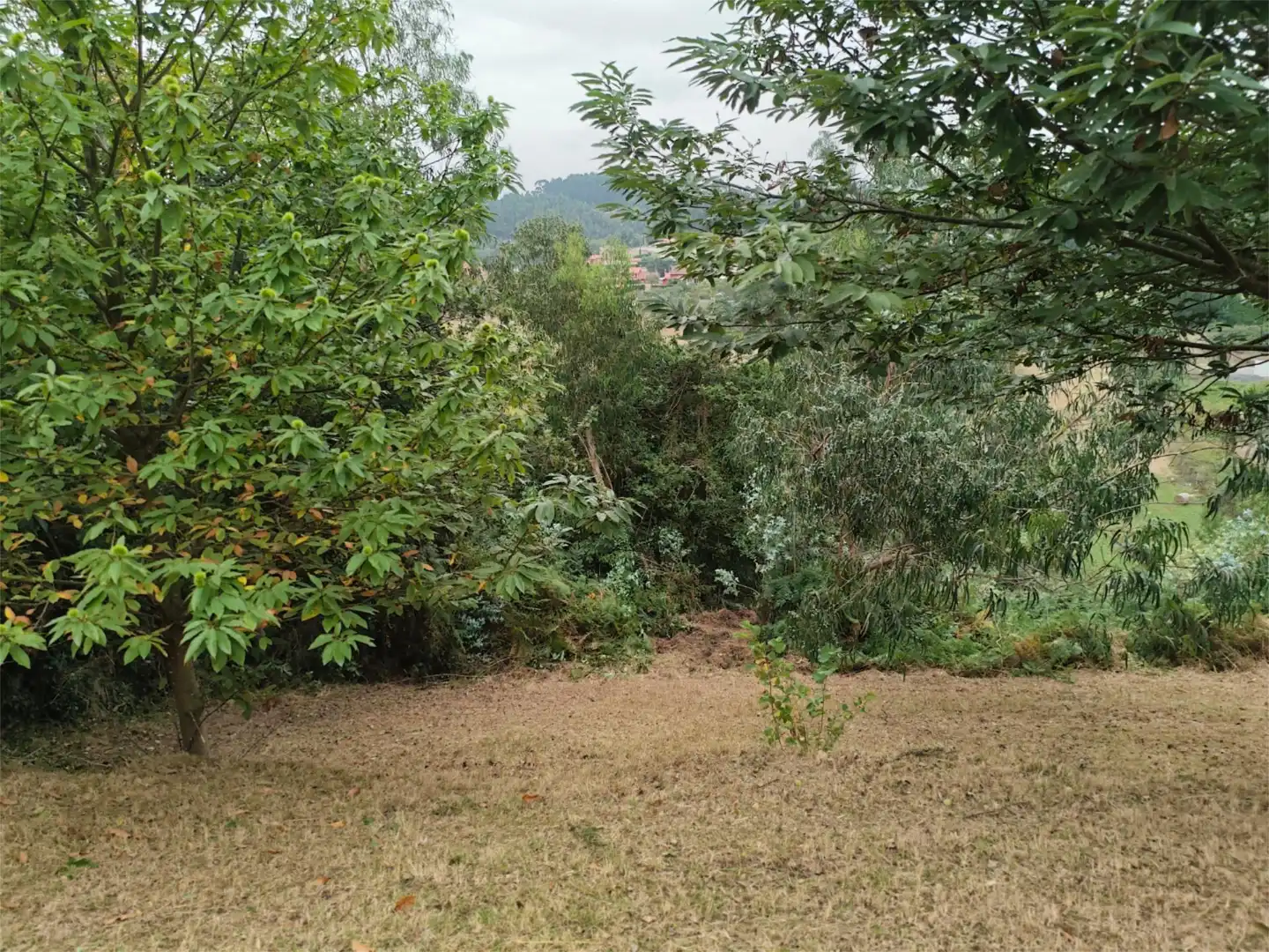 Casa o xalet en venda a Santa María del Mar - El Puerto Casa o xalet en venda en Castrillón