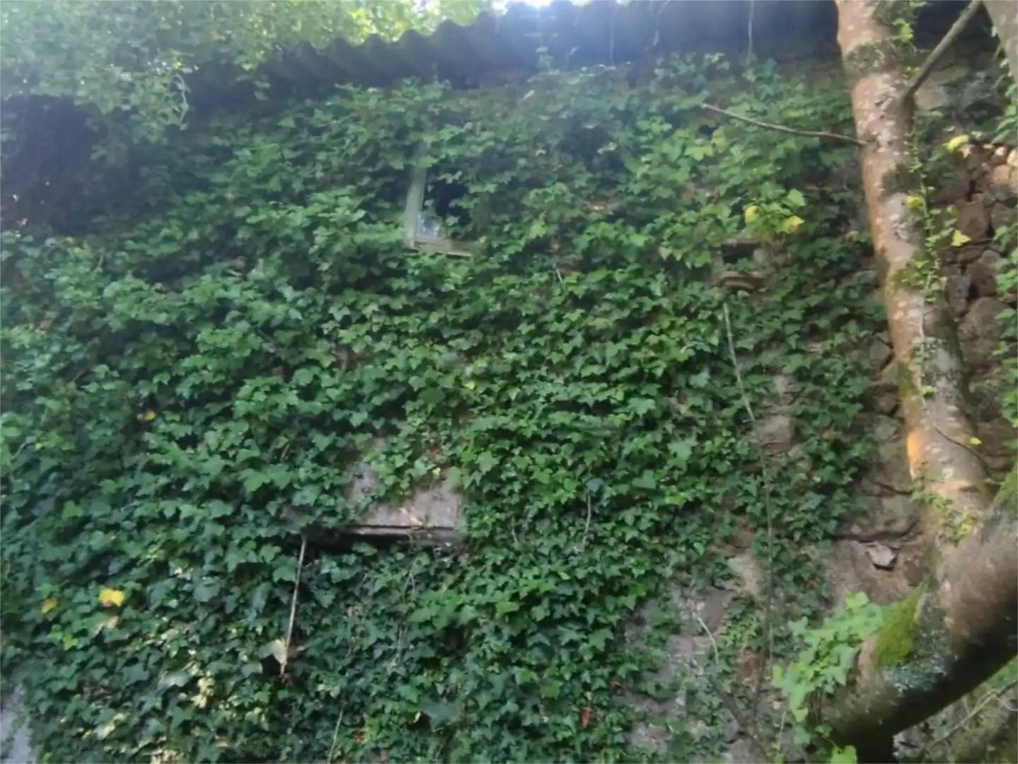 Houses for sale in Tres, 7, Vilarmaior Garden of Houses for sale in Vilarmaior