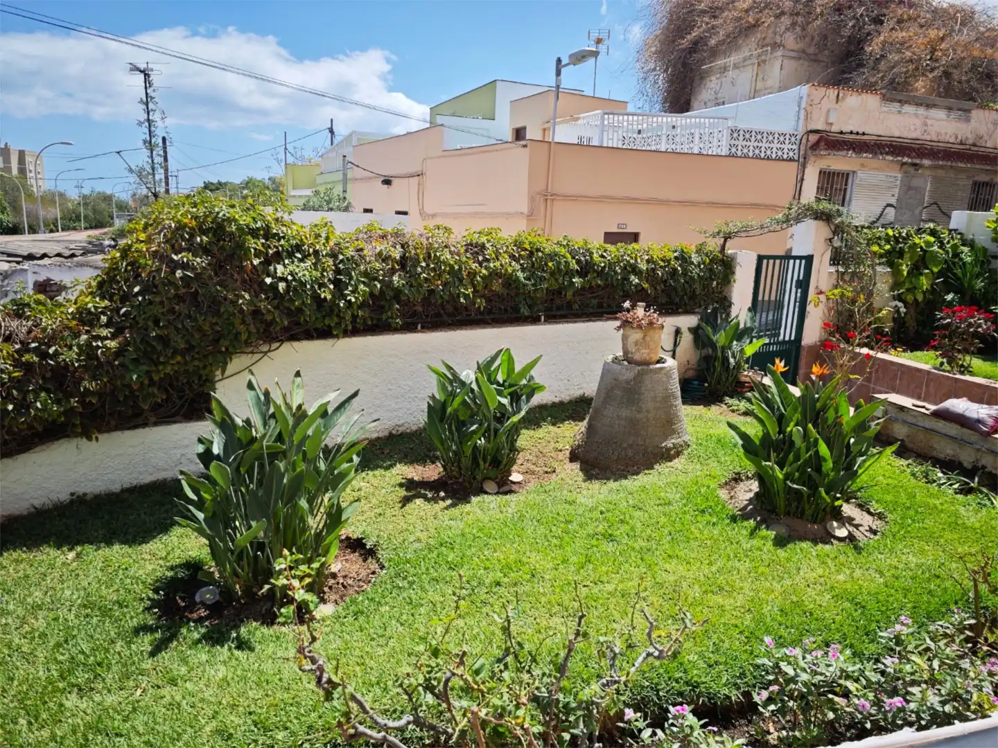 Garden of Flat for share in Santa Cruz de Tenerife  with Private garden, Terrace and Storage room