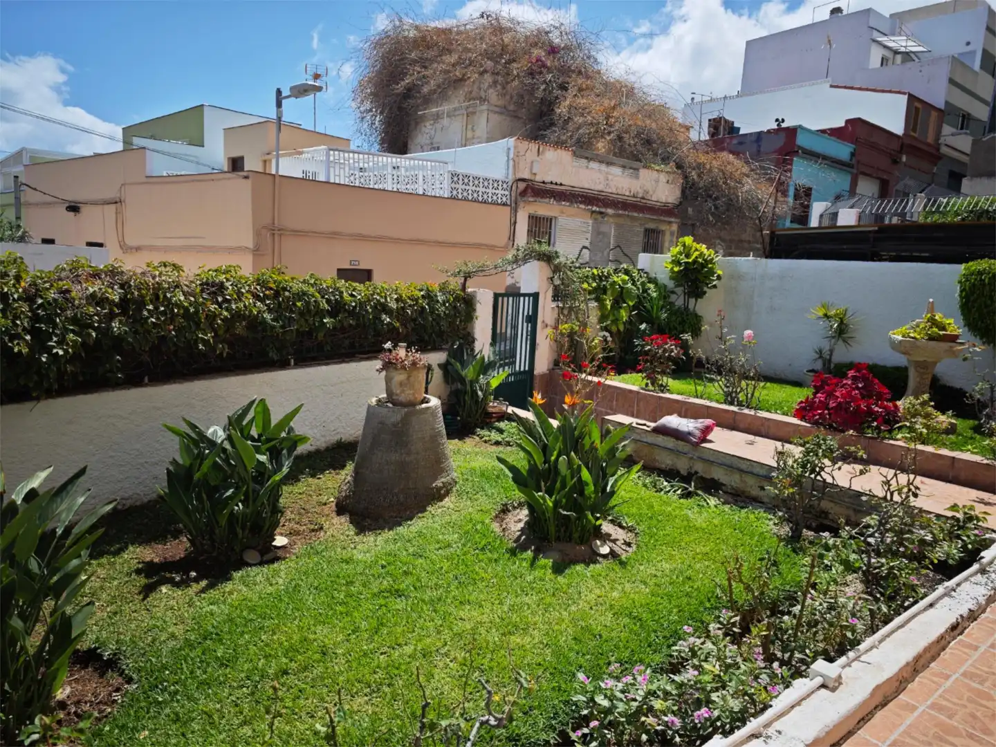 Garden of Flat for share in Santa Cruz de Tenerife  with Private garden, Terrace and Storage room