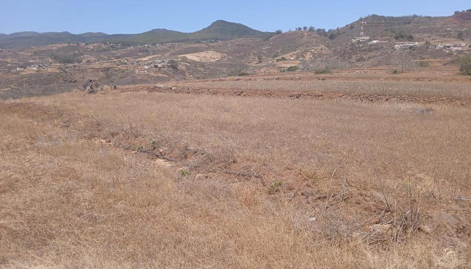 Finca rústica en venta en Calle el Rosario, 13, Los Silos, Santa Cruz de Tenerife - imagen 1 Foto 1 de Finca rústica en venta en Calle el Rosario, 13, Los Silos, Santa Cruz de Tenerife