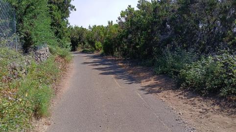 Finca rústica en venta en Calle el Rosario, 13, Los Silos, Santa Cruz de Tenerife - imagen 4 Foto 4 de Finca rústica en venta en Calle el Rosario, 13, Los Silos, Santa Cruz de Tenerife