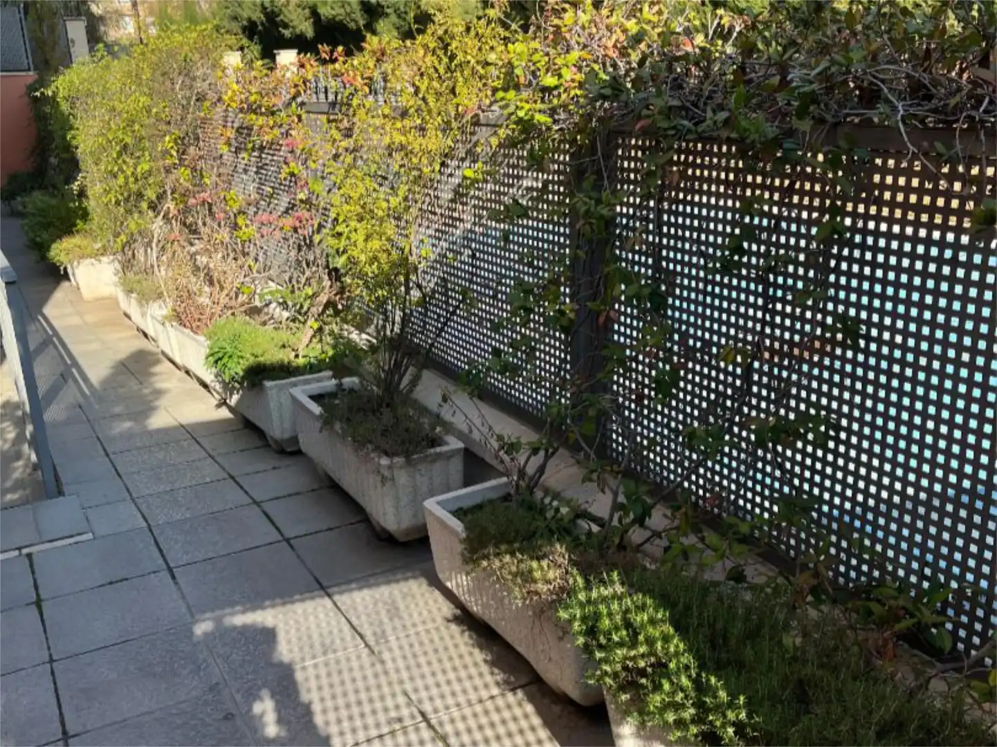 Piso en venta en Calle Albondón, 14, Rosaleda - Juventud Terraza de Piso en venta en Granada Capital con Aire acondicionado, Piscina y Balcón