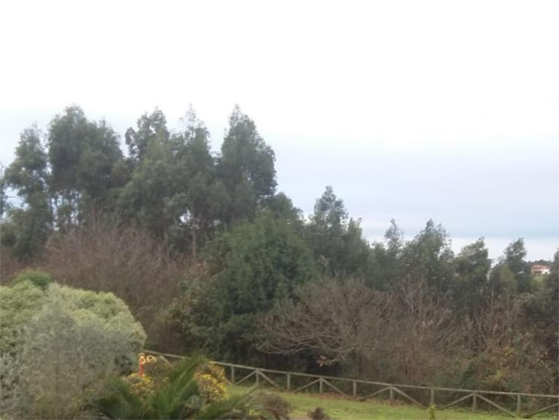 Pis en venda en Castrillón amb Jardí privat, Terrassa i Piscina