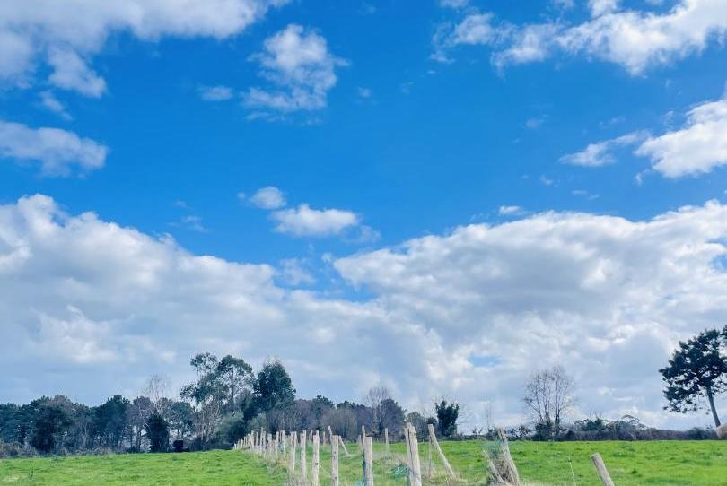 Terreno en venta en N-634, 1442, Valdés - Luarca, Asturias - imagen 1 Foto 1 de Terreno en venta en N-634, 1442, Valdés - Luarca, Asturias