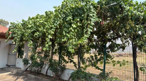 Casa o chalet en venta en Rua Do Pereiriño, 19, Verín, Ourense - imagen 3 Foto 3 de Casa o chalet en venta en Rua Do Pereiriño, 19, Verín, Ourense