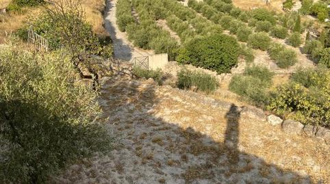 Finca rústica en venda a Calle Proyecto B, 12, Pegalajar, Jaén - imatge 3 Foto 3 de Finca rústica en venda a Calle Proyecto B, 12, Pegalajar, Jaén