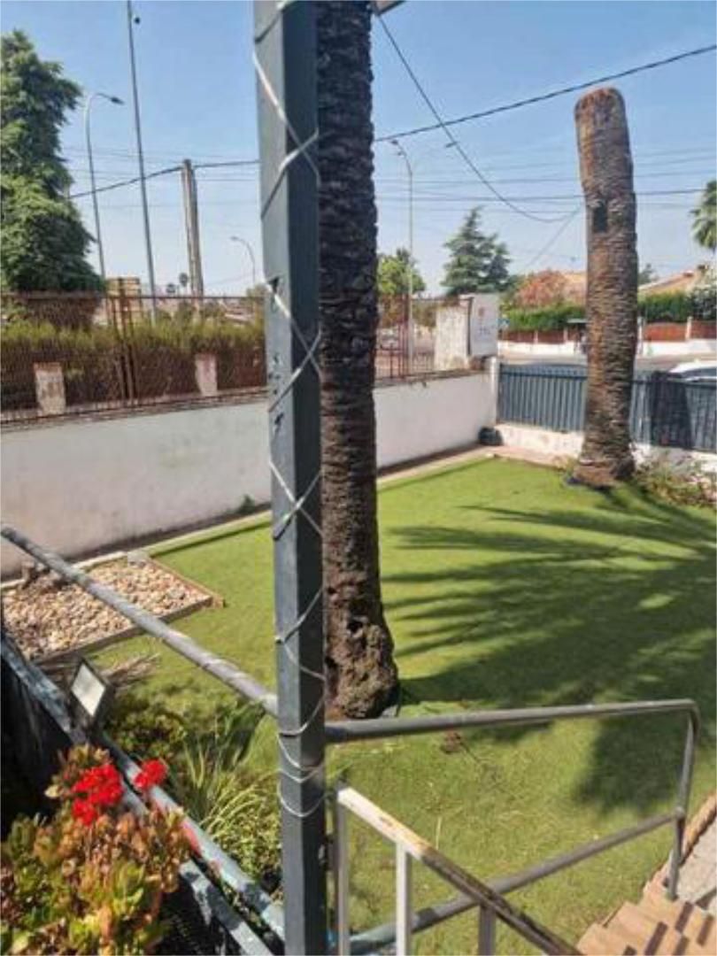 Garden of Single-family semi-detached to rent in  Córdoba Capital  with Private garden and Terrace