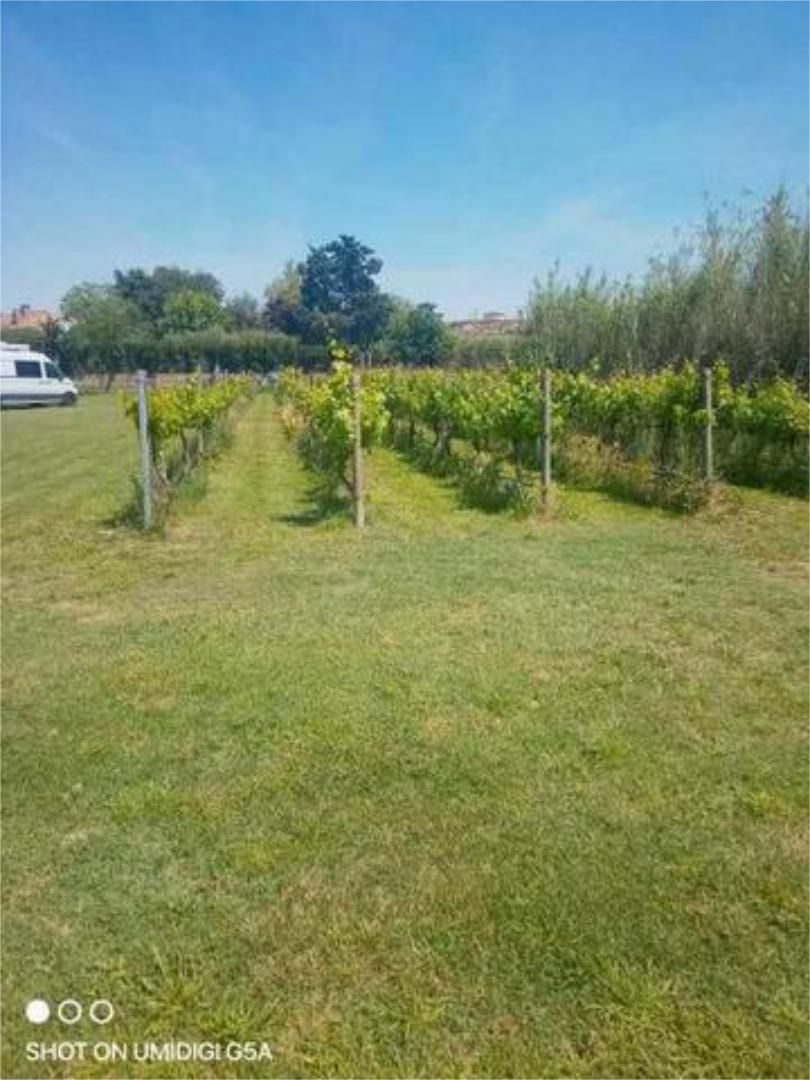 House or chalet for sale in  Lleida Capital  with Heating, Private garden and Swimming Pool