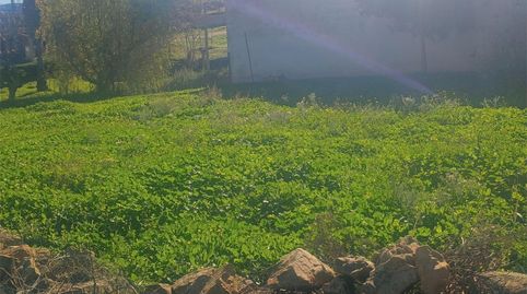 Foto 4 von Country house zum Verkauf in Calle Miguel Hernández, 31, Siruela, Badajoz