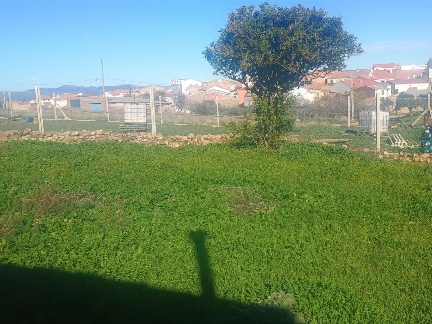 Country homes for sale in Siruela