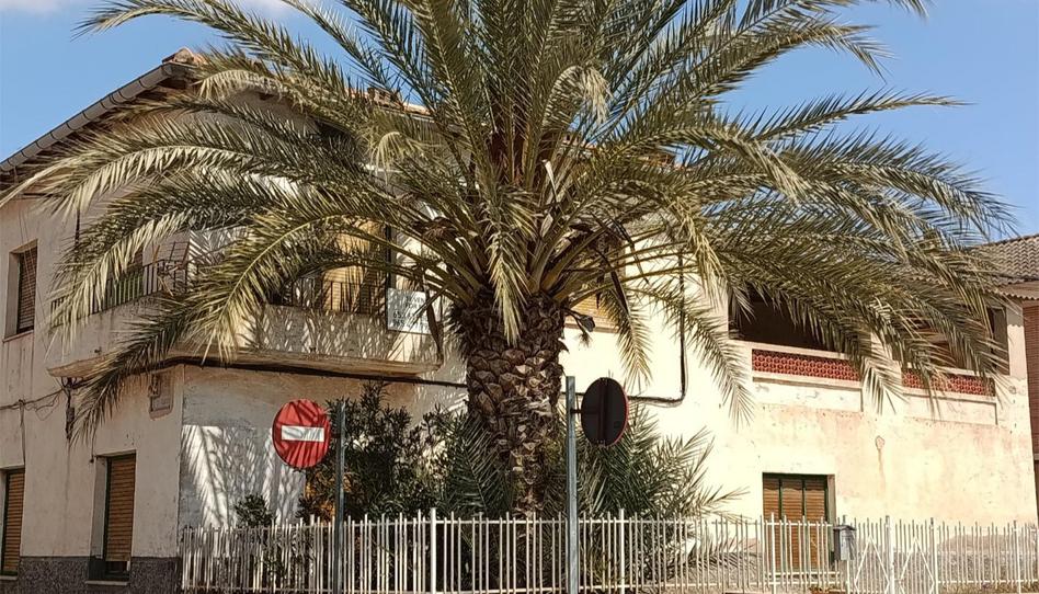 Foto 1 de Finca rústica en venda a Calle Agustina Aragón, 2, El Pinós / Pinoso, Alicante