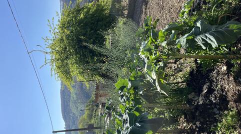 Foto 4 de Finca rústica en venda a Lugar Ribadiña, A-pq Ferreira, 26, Riotorto, Lugo
