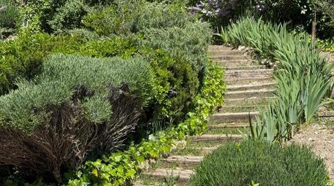 Foto 2 de Pis en venda a Calle Montealegre, 6, El Peñalar - Arroyo de Trofas - Montealegre, Madrid