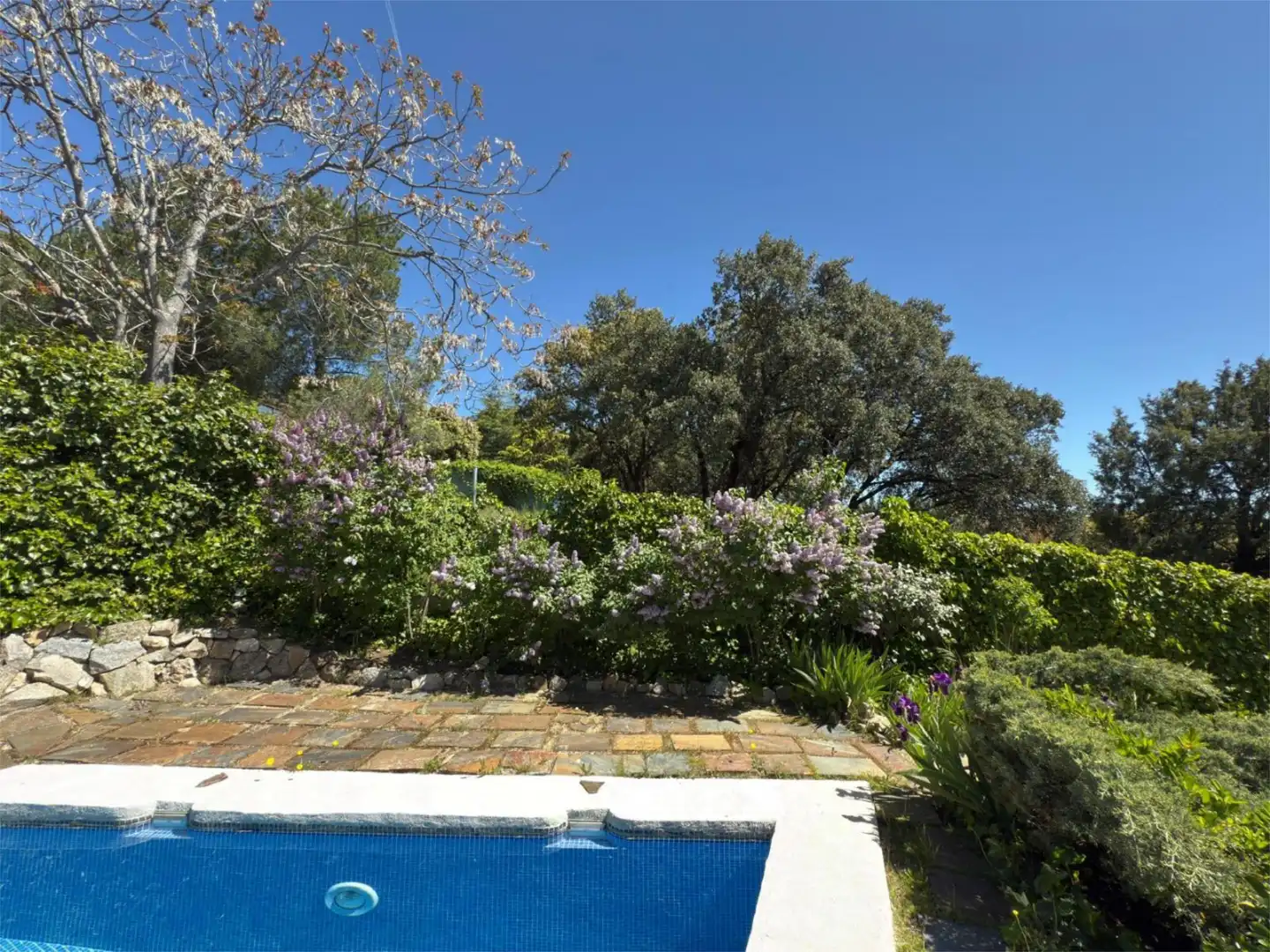 Piso en venta en Calle Montealegre, 6, El Peñalar - Arroyo de Trofas - Montealegre Jardín de Piso en venta en Torrelodones con Aire acondicionado, Calefacción y Jardín privado