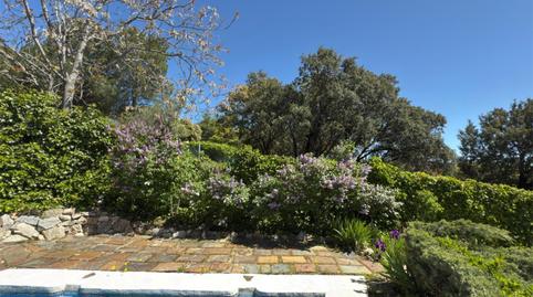 Foto 4 de Pis en venda a Calle Montealegre, 6, El Peñalar - Arroyo de Trofas - Montealegre, Madrid