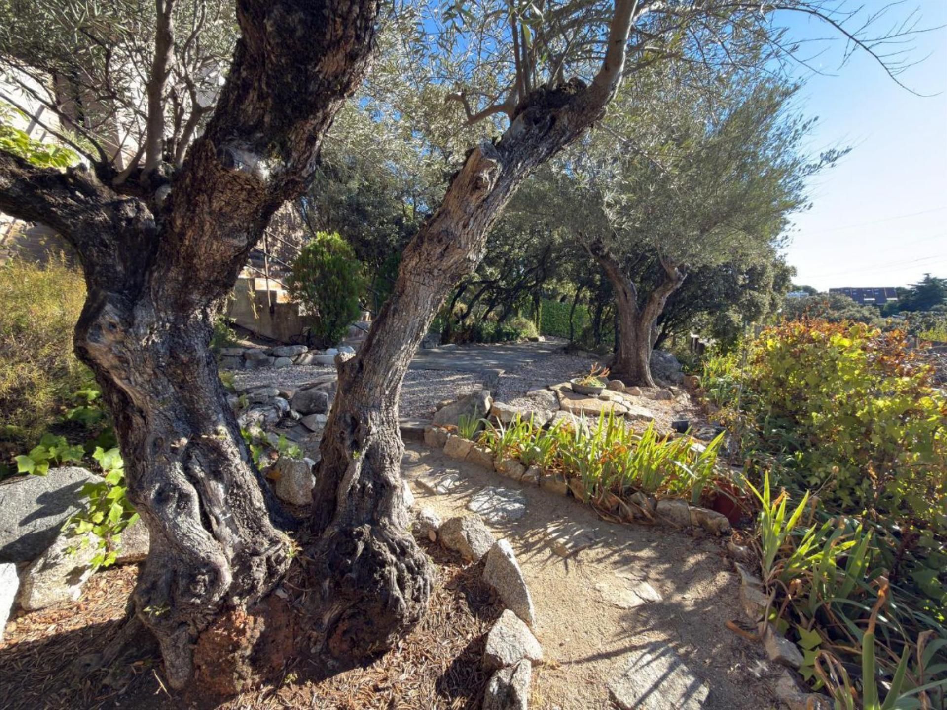 Garden of Flat for sale in Torrelodones  with Air Conditioner, Heating and Private garden