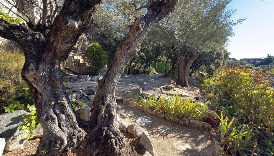 Flat for sale in Calle Montealegre, 6, El Peñalar - Arroyo de Trofas - Montealegre, Madrid - image 1 Photo 1 of Flat for sale in Calle Montealegre, 6, El Peñalar - Arroyo de Trofas - Montealegre, Madrid