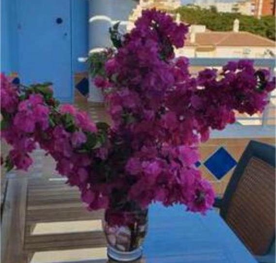 Àtic de lloguer a La Antilla, Huelva - imatge 1 Foto 1 de Àtic de lloguer a La Antilla, Huelva