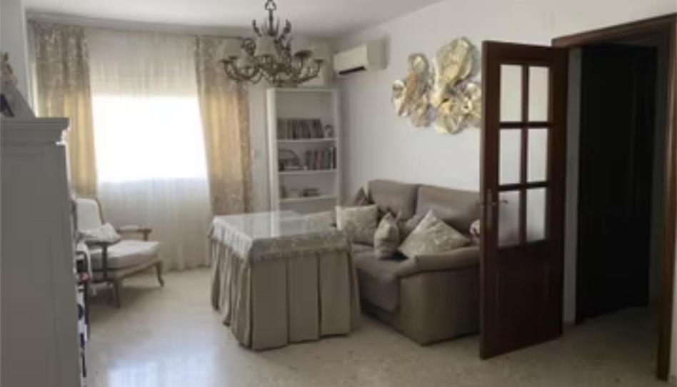 Flat for sale in Calle Posadas, 19, Palma del Río, Córdoba - image 1 Photo 1 of Flat for sale in Calle Posadas, 19, Palma del Río, Córdoba