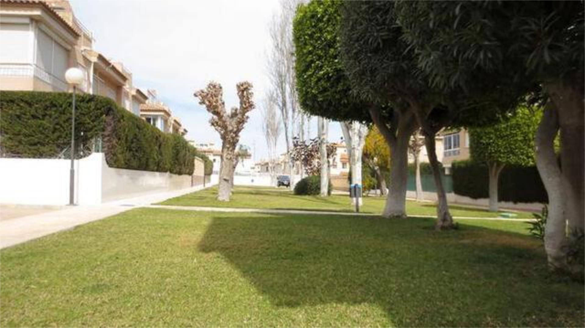 Jardín de Casa o chalet de alquiler en Torrevieja con Jardín privado, Terraza y Piscina