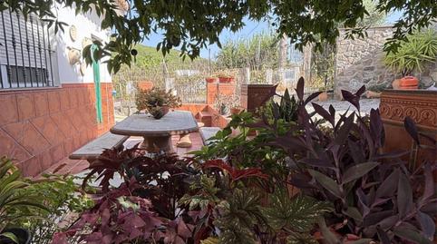 Foto 2 de Finca rústica en venda a Carretera Alcala, 6, Alcalá de los Gazules, Cádiz