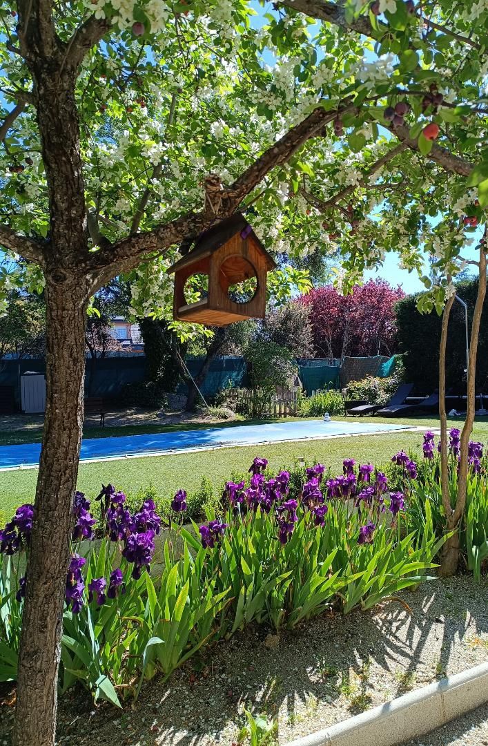 Piscina de Casa o xalet en venda en Valdemorillo amb Terrassa, Piscina i Balcó