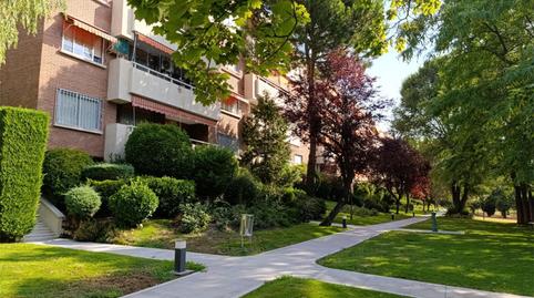 Photo 4 of Flat for sale in Prado de Somoaguas, Pozuelo de Alarcón