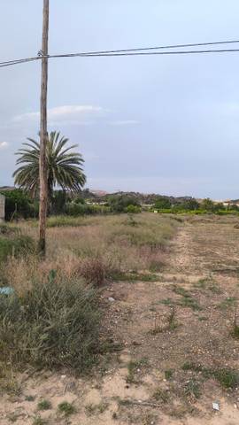 Terreno en Venta en Diseminado Contraparada, 2 en Javalí Nuevo