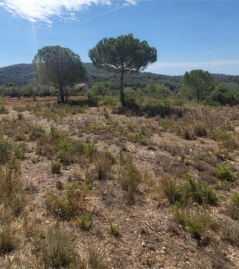 Foto 2 de Finca rústica en venda a Calle Guadalmina, 1, Benahavís pueblo, Málaga