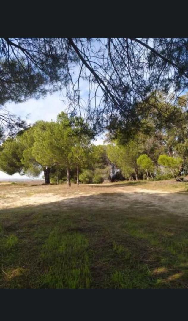 Finca rústica en venda en Rociana del Condado