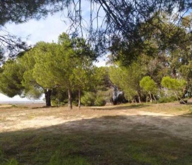 Finca rústica en venta en Calle Nuestro Padre Jesús Nazareno, 18, Rociana del Condado, Huelva - imagen 1 Foto 1 de Finca rústica en venta en Calle Nuestro Padre Jesús Nazareno, 18, Rociana del Condado, Huelva