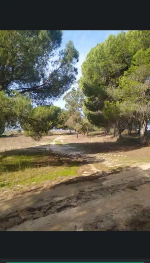 Finca rústica en venda a Calle Nuestro Padre Jesús Nazareno, 18, Rociana del Condado Finca rústica en venda en Rociana del Condado