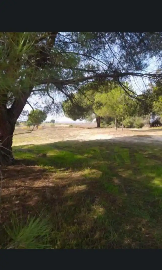 Finca rústica en venda a Calle Nuestro Padre Jesús Nazareno, 18, Rociana del Condado Finca rústica en venda en Rociana del Condado