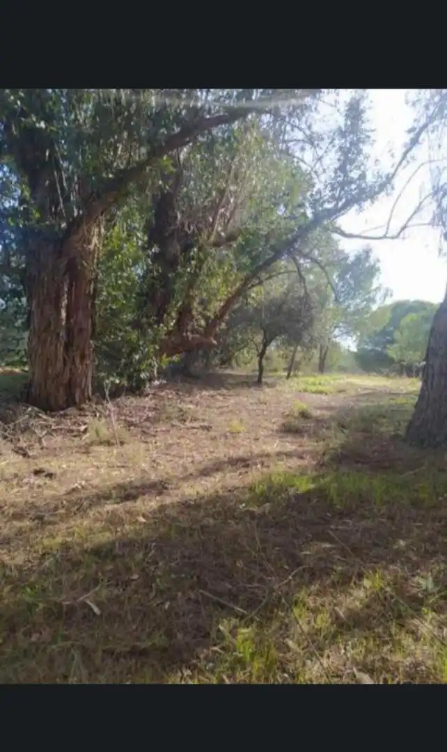 Finca rústica en venda a Calle Nuestro Padre Jesús Nazareno, 18, Rociana del Condado Finca rústica en venda en Rociana del Condado