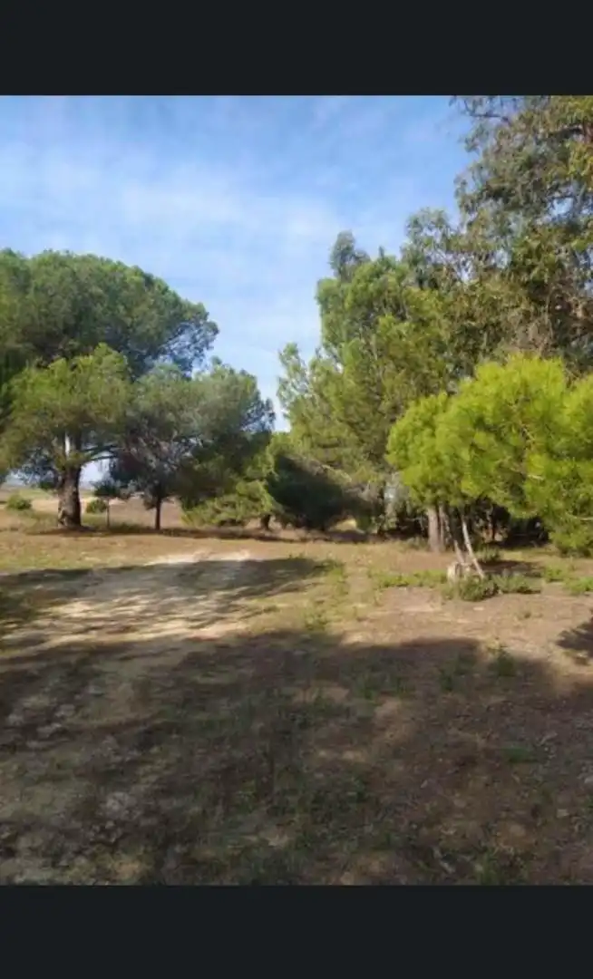 Finca rústica en venda a Calle Nuestro Padre Jesús Nazareno, 18, Rociana del Condado Finca rústica en venda en Rociana del Condado