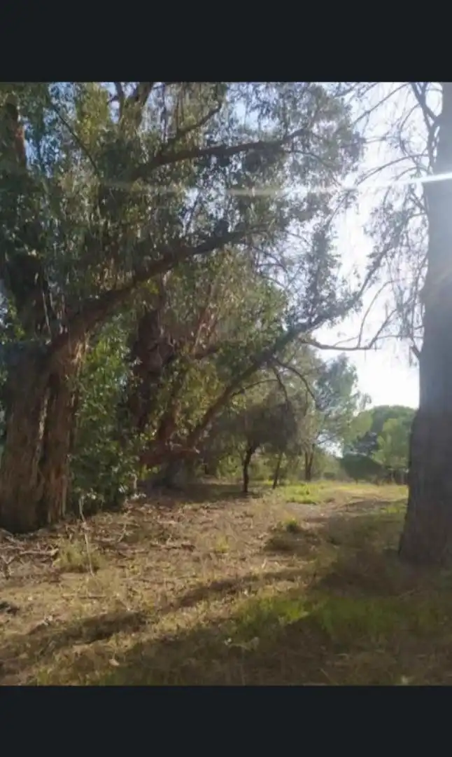 Finca rústica en venda a Calle Nuestro Padre Jesús Nazareno, 18, Rociana del Condado Finca rústica en venda en Rociana del Condado