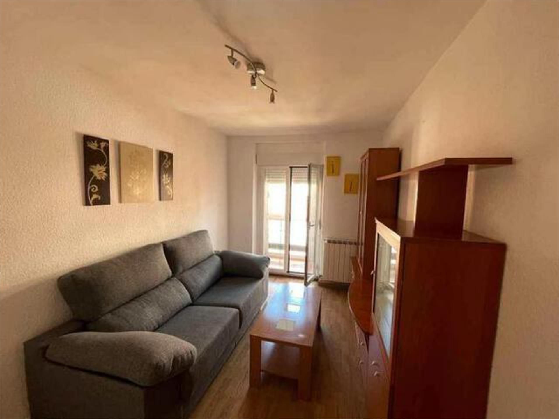 Sala de estar de Piso de alquiler en León Capital  con Calefacción, Terraza y Trastero