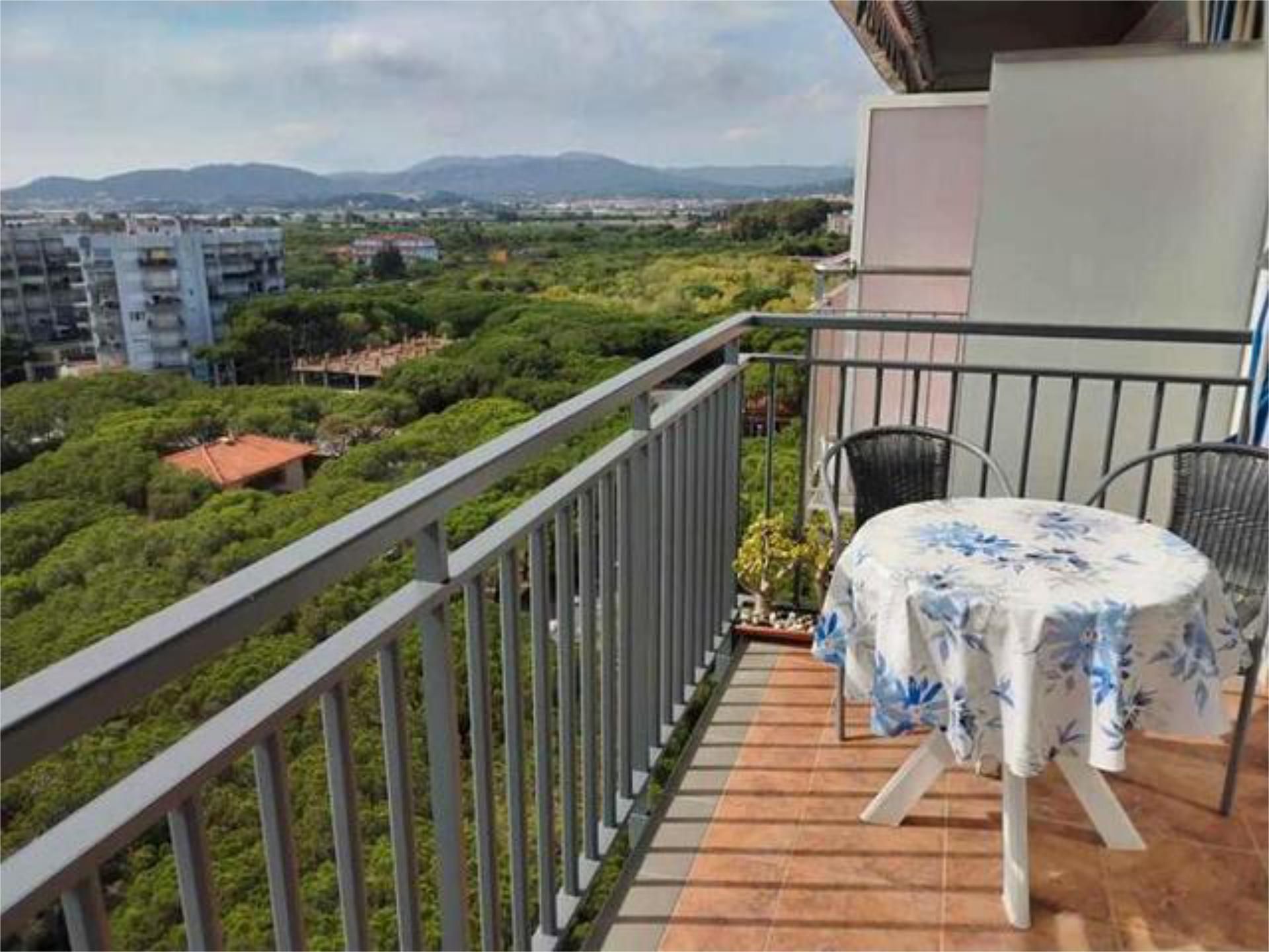Apartament en venda a Els Pins