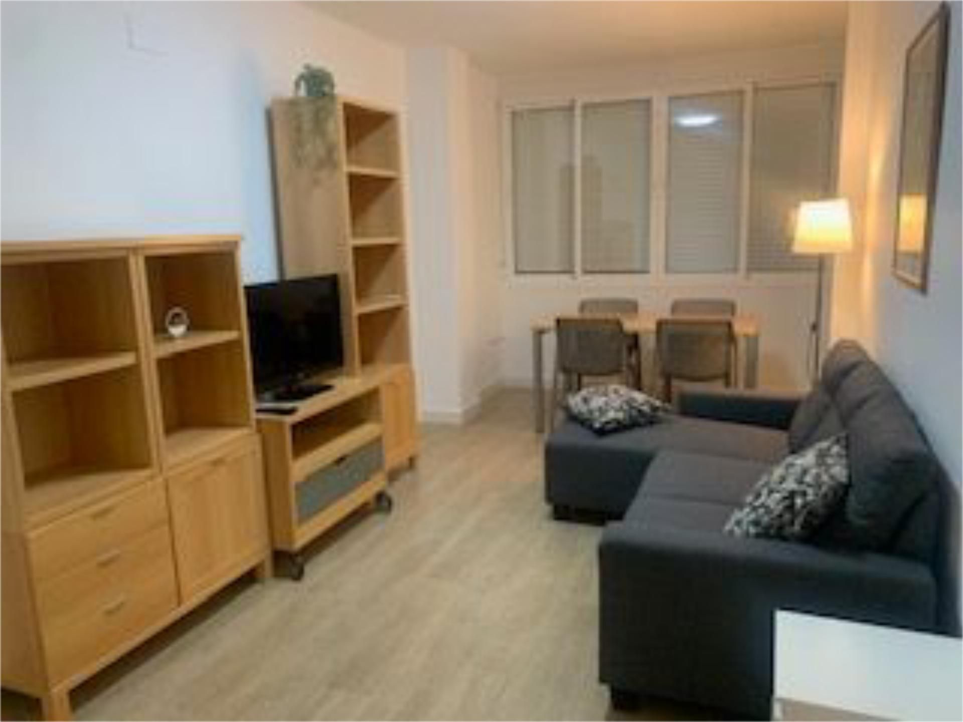 Living room of Flat to rent in Málaga Capital  with Furnished