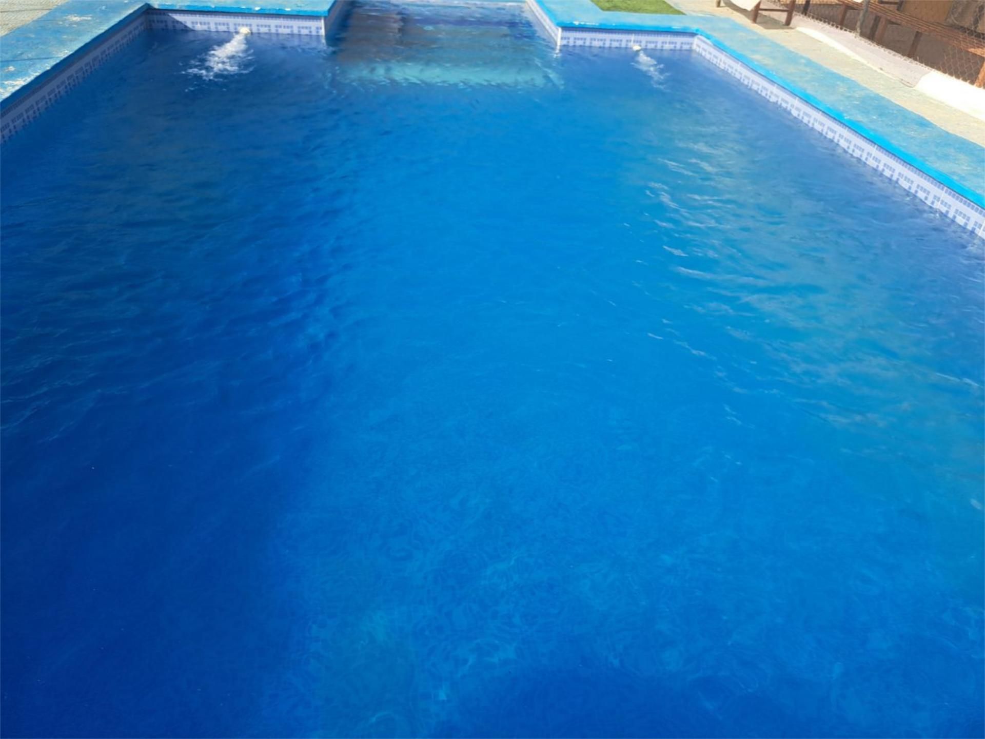 Swimming pool of Country house for sale in La Puebla del Río  with Terrace and Swimming Pool