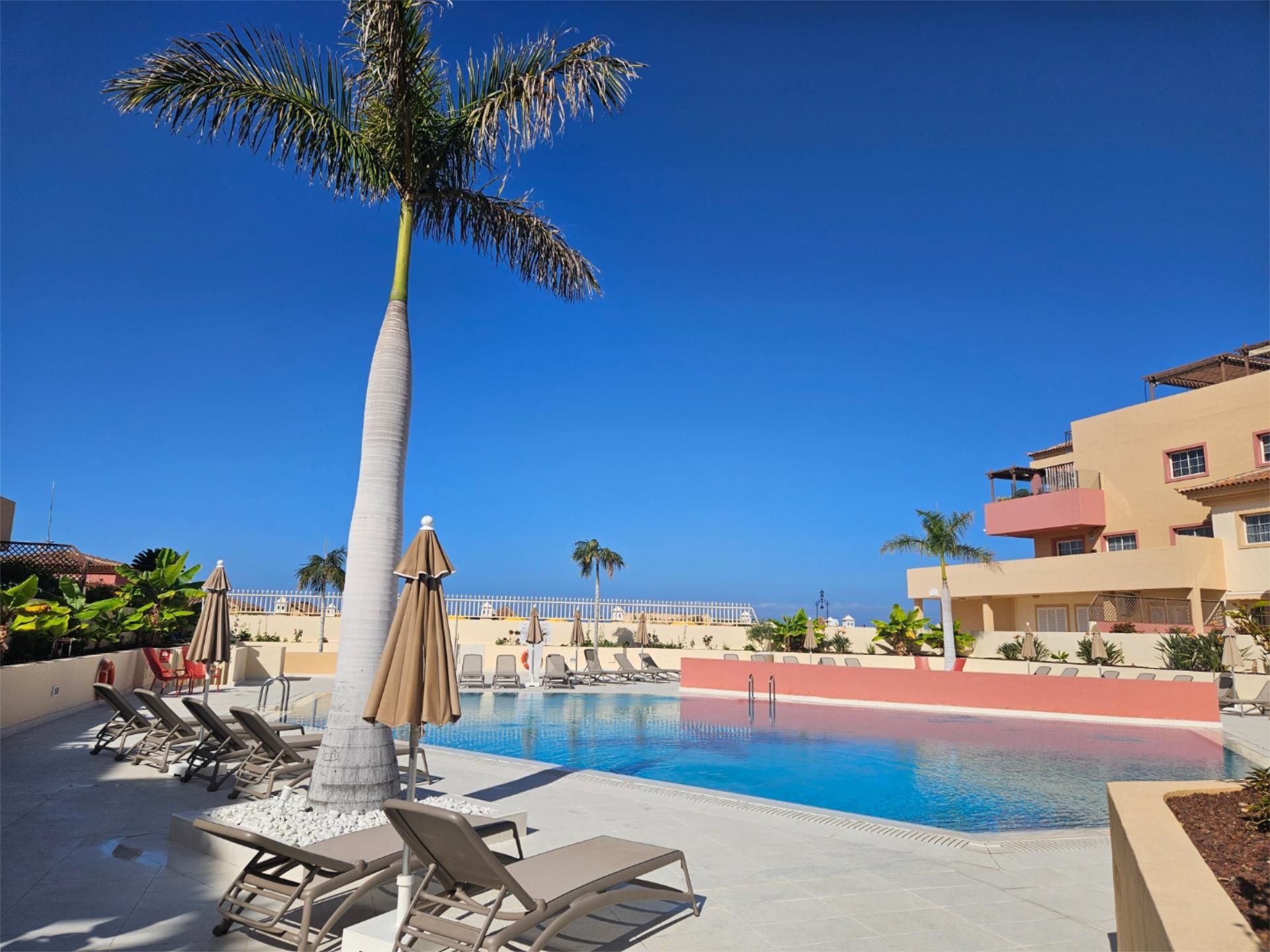 Swimming pool of Apartment to rent in Adeje  with Air Conditioner, Terrace and Swimming Pool