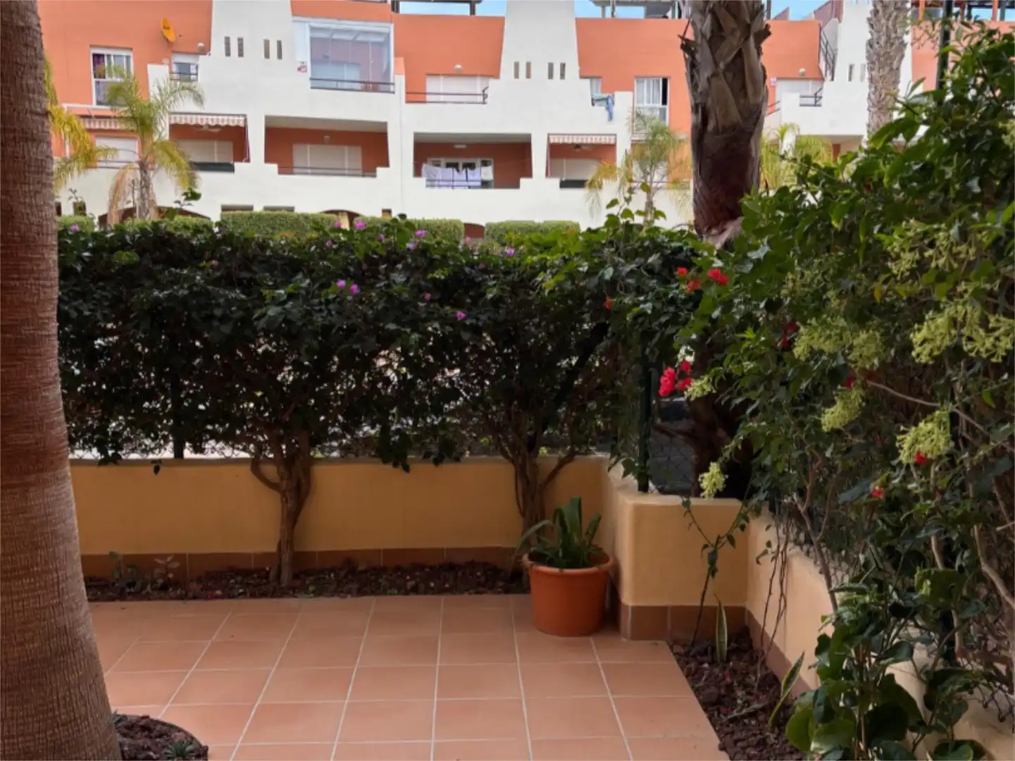 Piso de alquiler en Calle Islas Canarias, 15, Cala Marqués Piso de alquiler en Calle Islas Canarias, 15, Cala Marqués