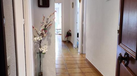 Flat to share in Calle de la Virgen del Socorro, 62, Raval Roig - Virgen del Socorro, Alicante - image 2 Photo 2 of Flat to share in Calle de la Virgen del Socorro, 62, Raval Roig - Virgen del Socorro, Alicante