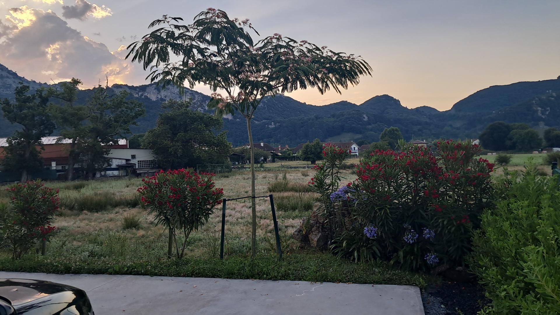 Jardín de Casa o chalet de alquiler en Liendo con Jardín privado, Amueblado y Lavadora