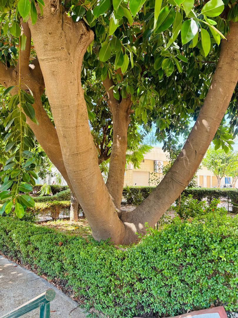Exterior view of Flat for sale in Málaga Capital  with Air Conditioner