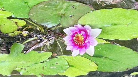 Photo 2 of Country house for sale in Carretera de Montblanc, 184, Llevant, Reus