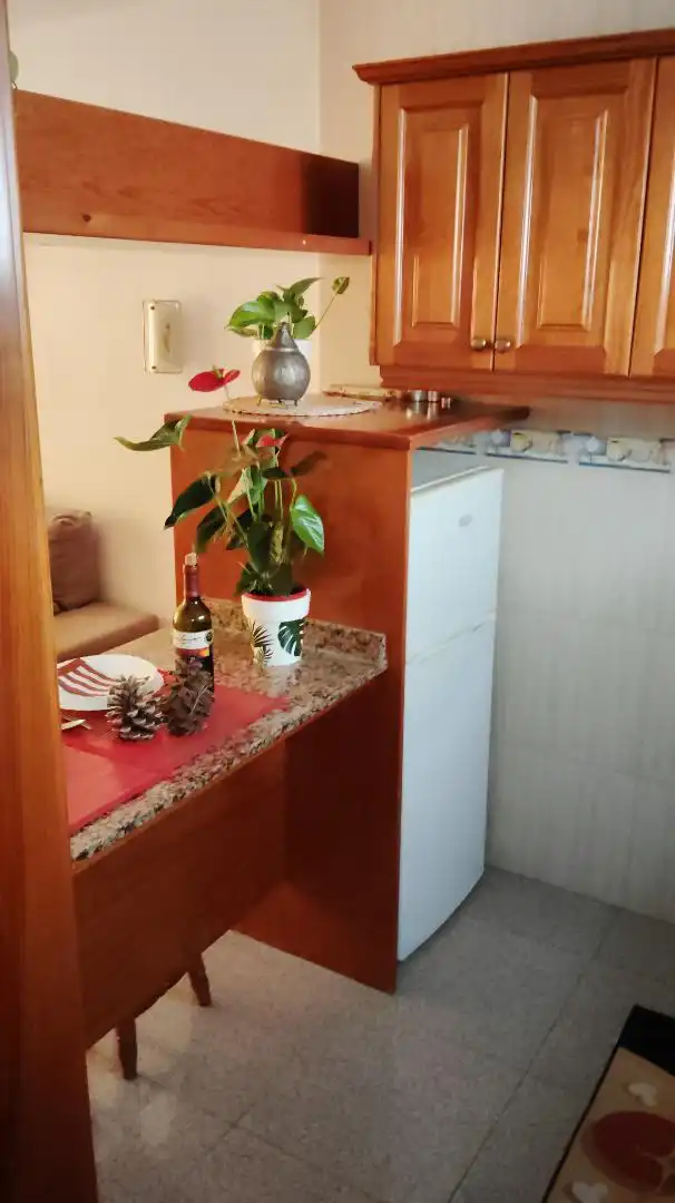 Apartamento de alquiler en Avenida de Bonn, 30, Playa del Inglés Cocina de Apartamento de alquiler en San Bartolomé de Tirajana con Terraza y Piscina