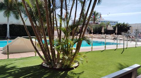 Apartment to rent in Avenida de Bonn, 30, Playa del Inglés, Las Palmas - image 3 Photo 3 of Apartment to rent in Avenida de Bonn, 30, Playa del Inglés, Las Palmas