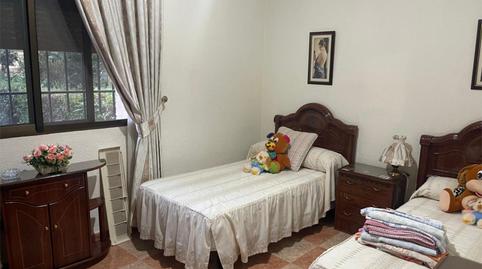 Flat to rent in Calle Pintor Espinosa, 12, Vista Alegre - Parque Cruz Conde, Córdoba - image 2 Photo 2 of Flat to rent in Calle Pintor Espinosa, 12, Vista Alegre - Parque Cruz Conde, Córdoba